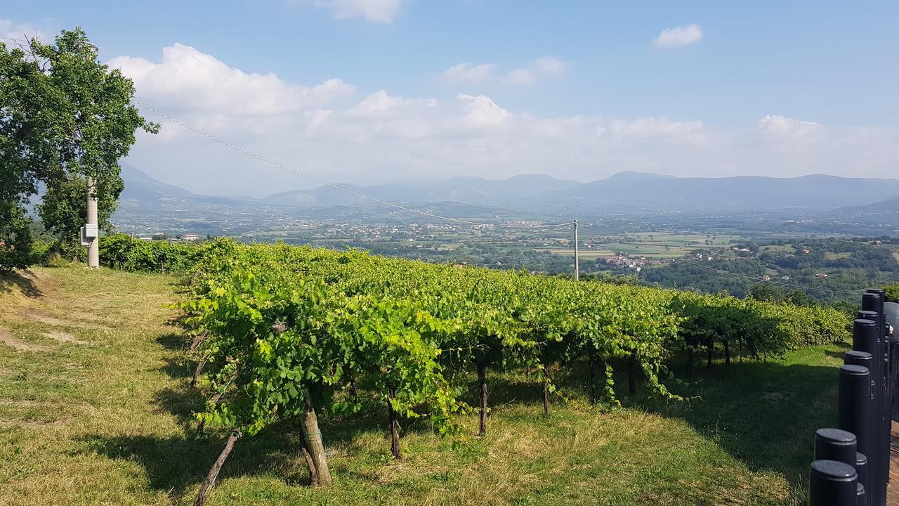 Lisandro Wine Resort Apartments Caserta Castel Campagnano Luaran gambar