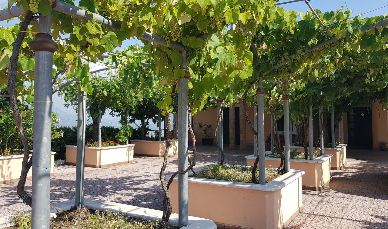 Lisandro Wine Resort Apartments Caserta Castel Campagnano Luaran gambar