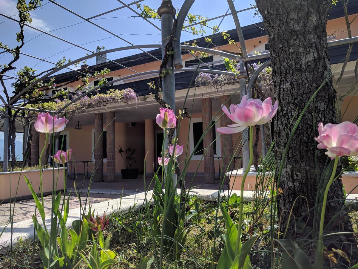 Lisandro Wine Resort Apartments Caserta Castel Campagnano Luaran gambar